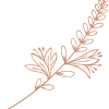 flower-bg-947×1024.png flower-bg-947x1024.png